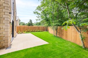 Photo 11- click for photo gallery